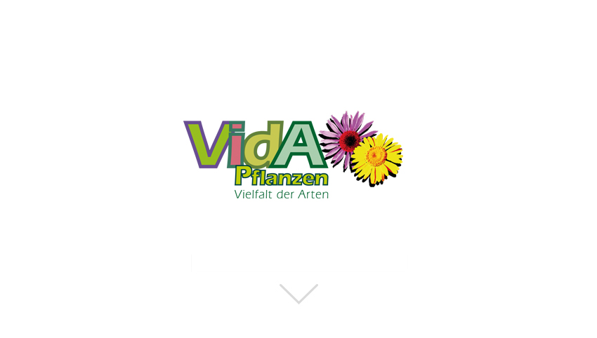 VIDA_Intro